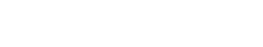 logoipsum-8